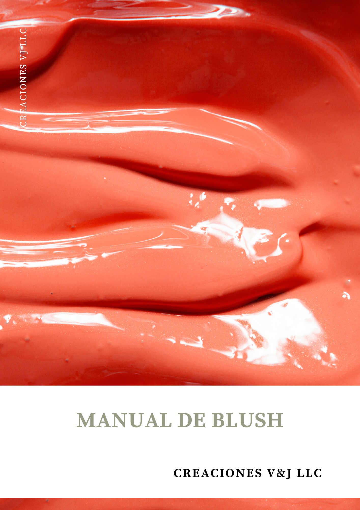 MANUAL DE BLUSH - barra y liquido
