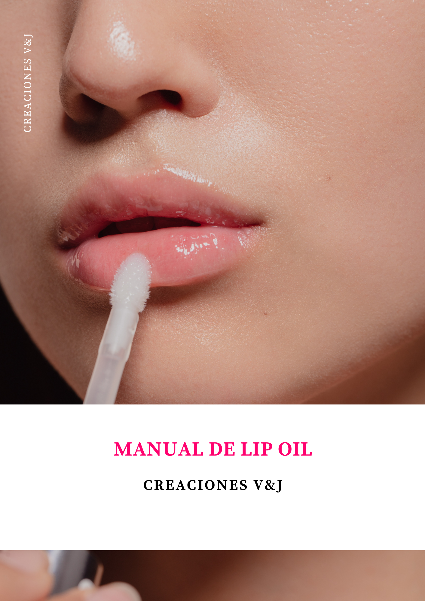 MANUAL DE LIP OIL
