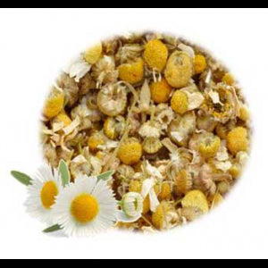Chamomile Flowers German Whole Variedad