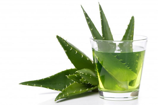ALOE VERA GEL - VARIEDAD